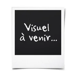 OCEANIC Deshumidificateur dair electrique - Extraction 12 litres/jour - Sechage du linge - Drainage continu - Affichage LED