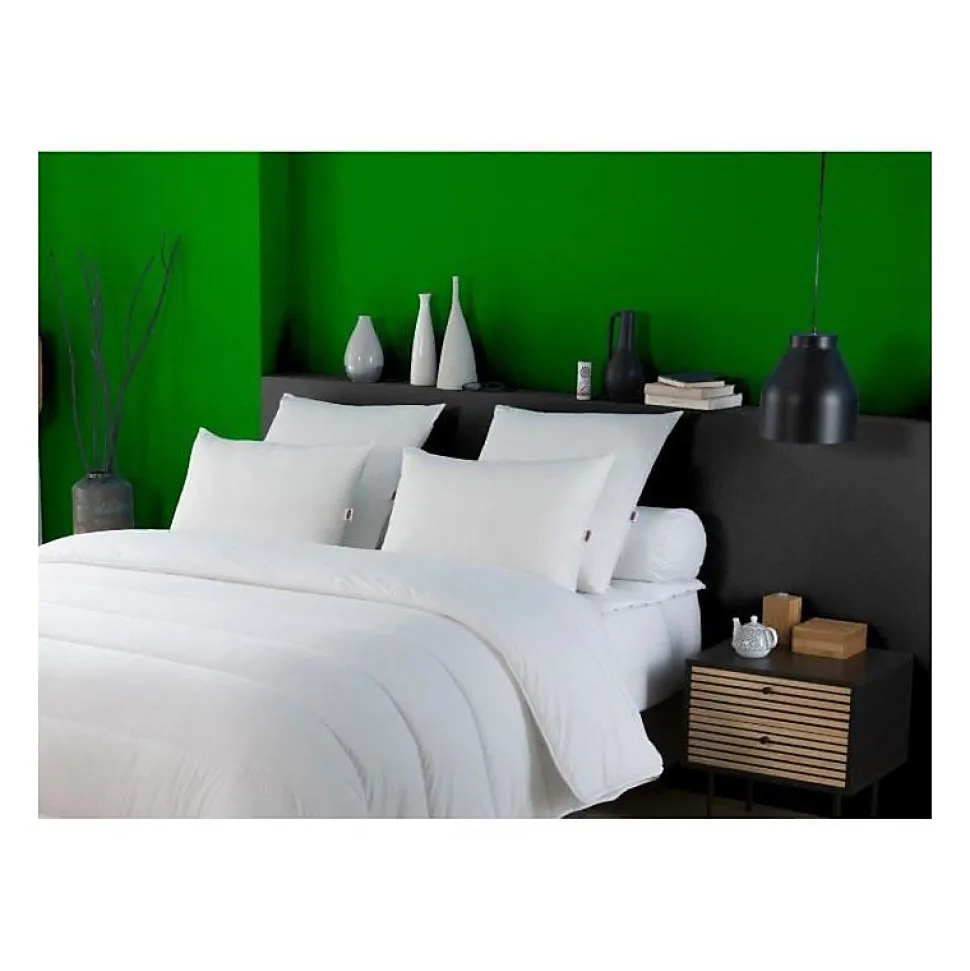 Oreiller anti-acariens 50x70 cm - 100% Polyester - DODO