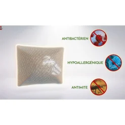 Oreiller au Charbon de Bambou Herzberg HG6050-BC