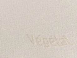 Oreiller DODO ergonomique à mémoire de forme - 60x60 cm - VEGETAL