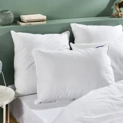 Oreiller Duvet Moelleux 50x70cm 90% DUVET DE CANARD