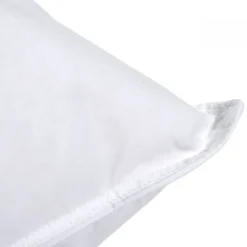 Oreiller Duvet Moelleux 60x60cm 90% DUVET DE CANARD