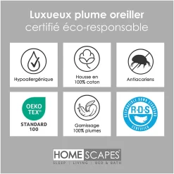 Oreiller en plumes de canard 50 x 75 cm, lot de 2 - HOMESCAPES