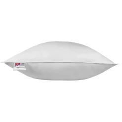 Oreiller en plumes et duvet d'oie 80 x 80 cm - HOMESCAPES