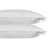 Oreiller en plumes et duvet d'oie 40 x 80 cm - lot de 2 - HOMESCAPES