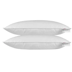 Oreiller en plumes et duvet de canard 40 x 80 cm - lot de 2 - HOMESCAPES