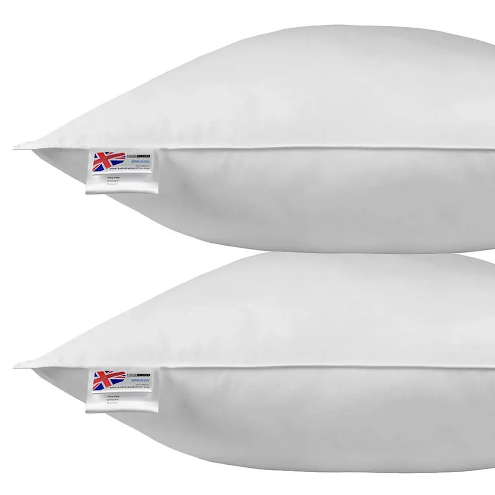 Oreiller en plumes et duvet d'oie 80 x 80 cm - lot de 2 - HOMESCAPES