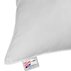 Oreiller en plumes et duvet d'oie 80 x 80 cm - lot de 2 - HOMESCAPES