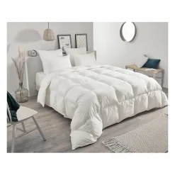 Oreiller en plumettes et duvet (50x70 cm - Blanc)