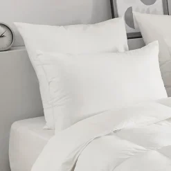 Oreiller en plumettes et duvet (50x70 cm - Blanc)