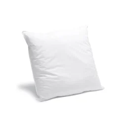 Oreiller Ferme Gonflant 60x60cm