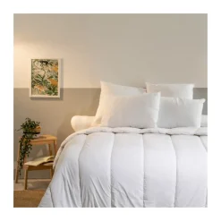 Oreiller Ferme 60x60cm ANTI-ACARIENS Traitement Sanitized