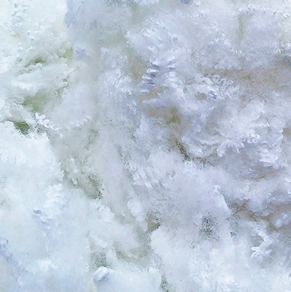 Oreiller Grand Palace 65x65 cm Fibres creuses polyester