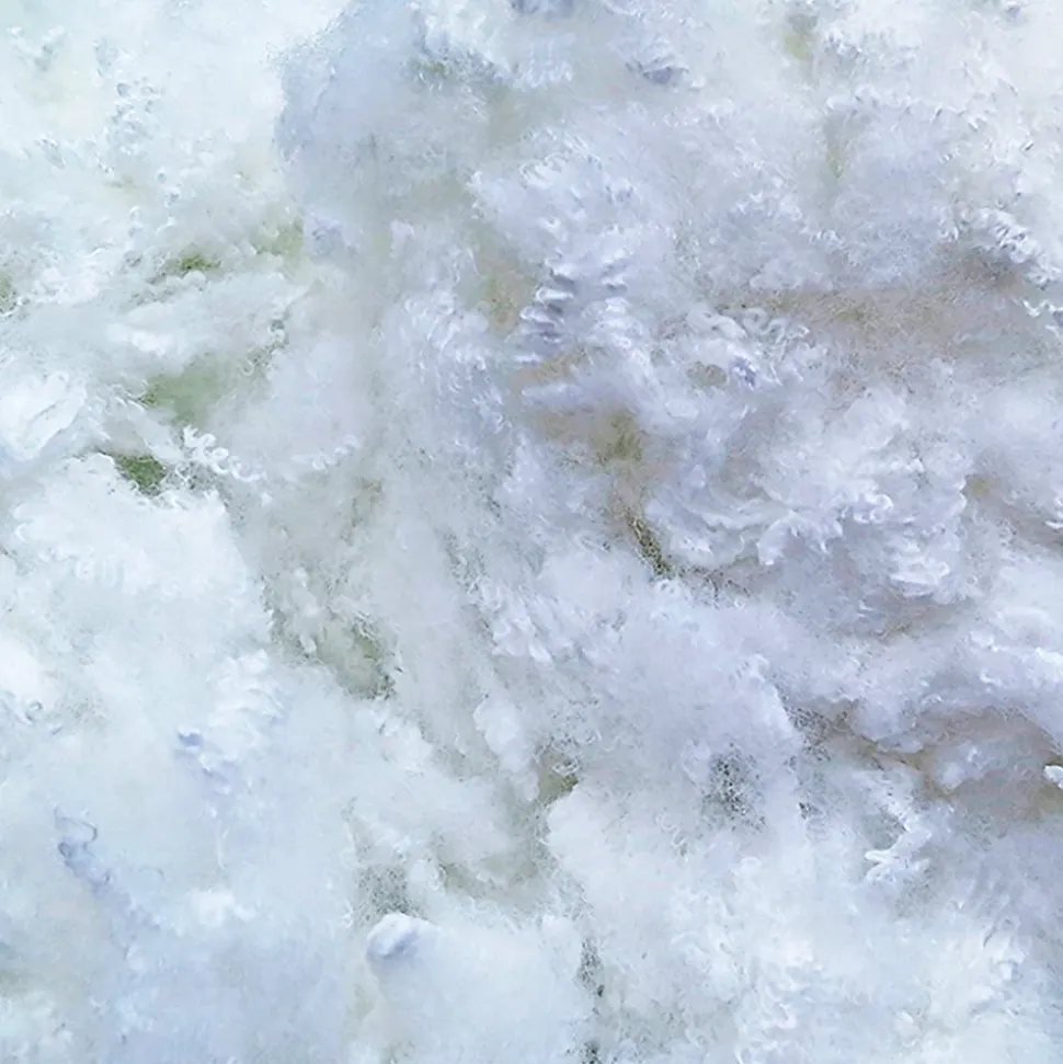 Oreiller Luxotel 60x60 cm Fibres creuses polyester