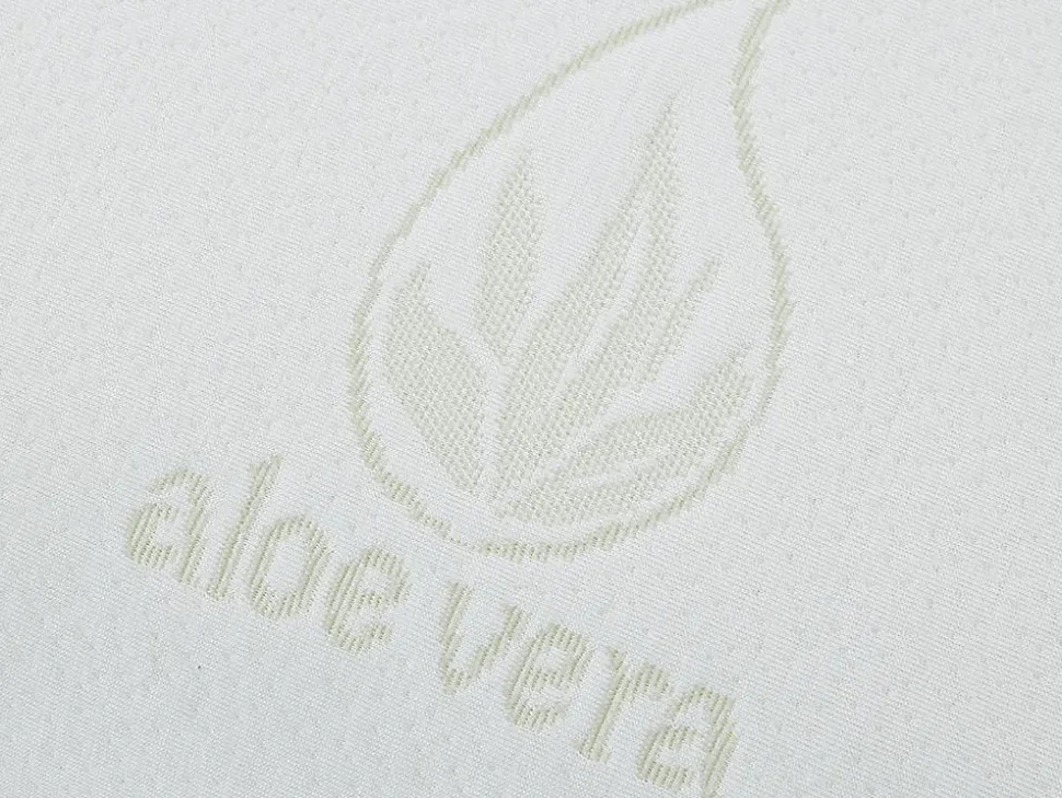 Oreiller mémoire de forme DOUCEUR d' ALOE VERA de NATUREA - 60 x 60 cm