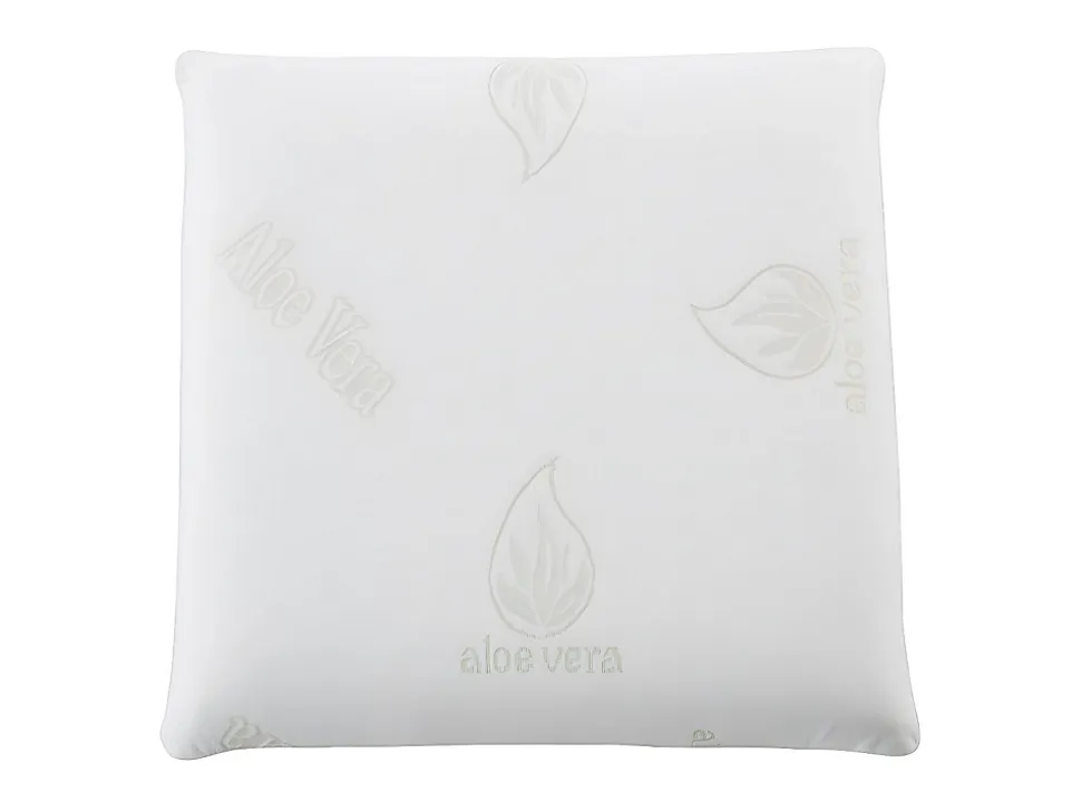 Oreiller mémoire de forme DOUCEUR d' ALOE VERA de NATUREA - 60 x 60 cm