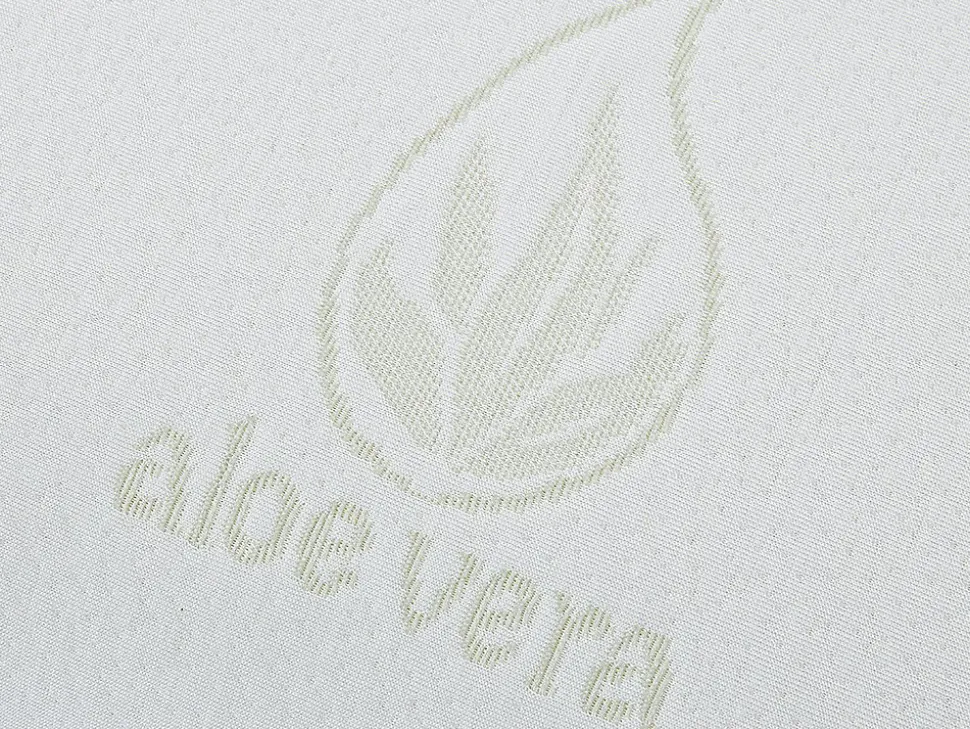 Oreiller mémoire de forme DOUCEUR d' ALOE VERA de NATUREA - 60 x 60 cm