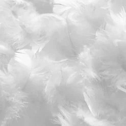 Oreiller Natura 65x65 cm Duvet & Plumes