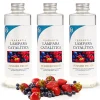Pack économique 3x Parfum pour lampe catalytique 500 ml : Arôme Summer Fruits - Profitez plus longtemps de votre parfum préféré