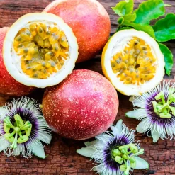 Parfum Caribbean Passion pour lampe catalytique (500ml) - Élimine les mauvaises odeurs et les impuretés, parfume et nettoie