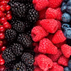 Parfum Summer Fruits pour lampe catalytique (200 ml) - Élimine les mauvaises odeurs, parfume et nettoie l'environnement