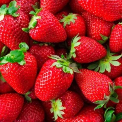 Parfum Wild Strawberry pour lampe catalytique (500 ml) - Élimine les mauvaises odeurs, parfume et nettoie l'environnement