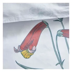 Parure de lit 2 personnes - TODAY - Sunshine 16.20 - 220 x 240 cm - 100% Coton imprimé