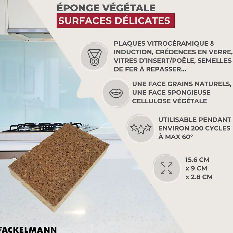 Éponge Végétale Multi-Surfaces fragiles Fackelmann Tecno