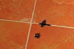 Protecteur anti-taches effet mouillé Fila 250mL