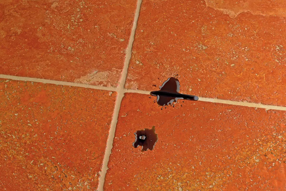 Protecteur anti-taches effet mouillé Fila 250mL