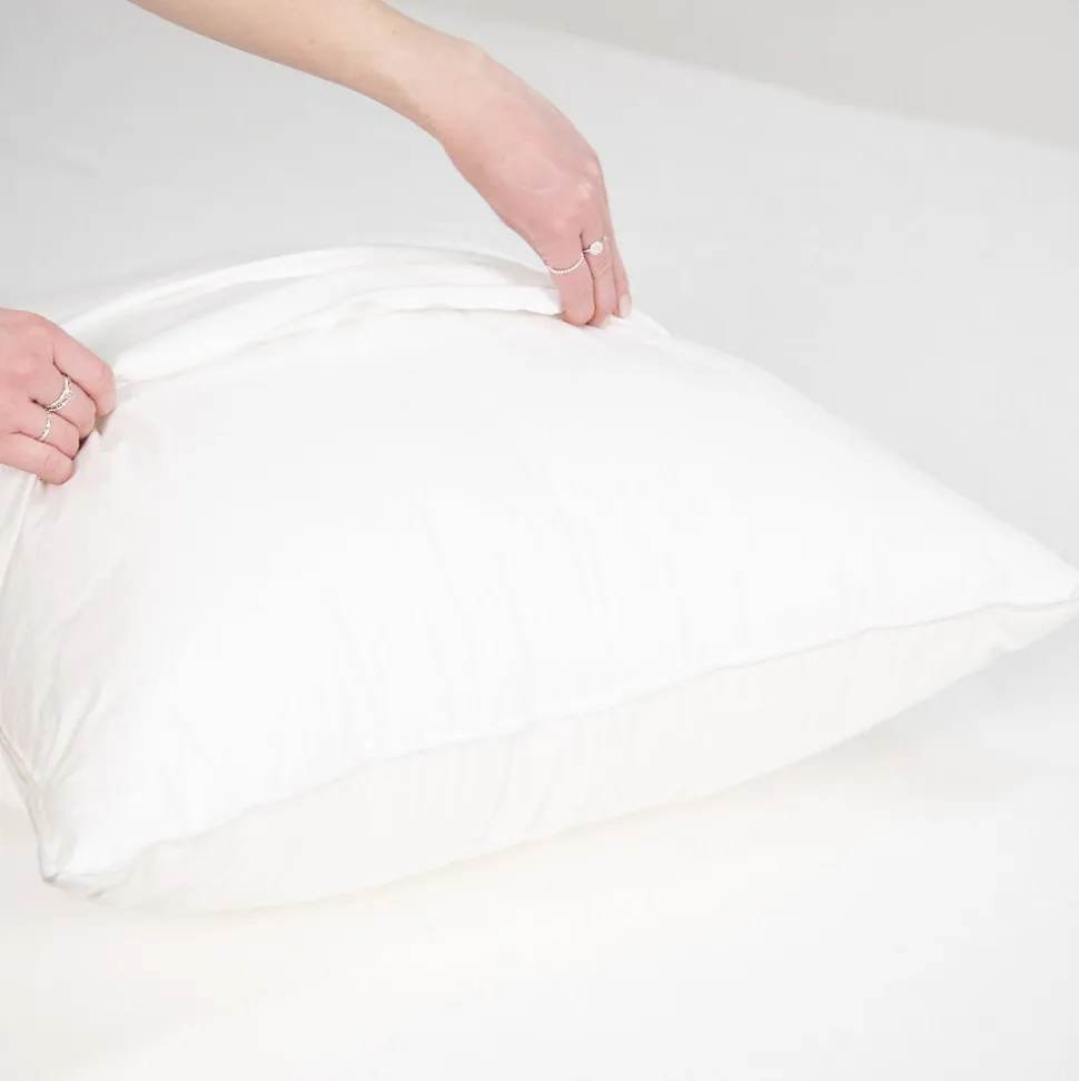 Protège oreiller anti punaise de lit 50x70cm