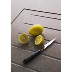 Quartz Clean & Care - Akemi - 0,5 L