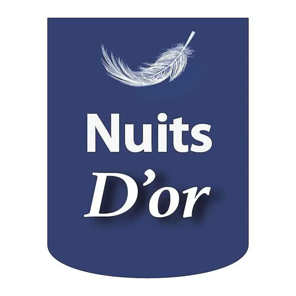 Sommier Tapissier Déhoussable 200x200 cm - 20 cm - 13 Lattes - Housse Lavable - Montage Rapide et Facile - Confort Optimal - SOMMI