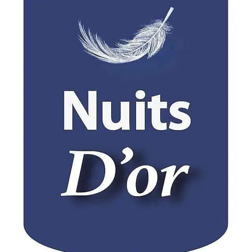 Sommier 80x200 cm - déhoussable - pieds 20 cm - 13 lattes - soutien ferme - confort - usage quotidien - meuble pratique