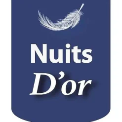 Sommier 80x200 cm - tapissier - déhoussable - housse lavable - pieds 20 cm - 13 lattes - confort optimal - usage quotidien -