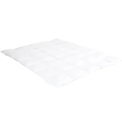 Surmatelas 6 cm Tranquilité 140x200 cm Duvet et plumettes de canard neuf