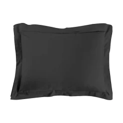 Taie d'39oreiller 50 x 70 cm Couleur emotion noir