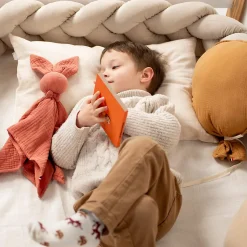 Taie d'oreiller réversible en Lin lavé