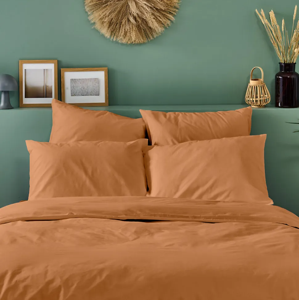 Taie d'oreiller unie 65x65cm PERCALE TERRACOTTA