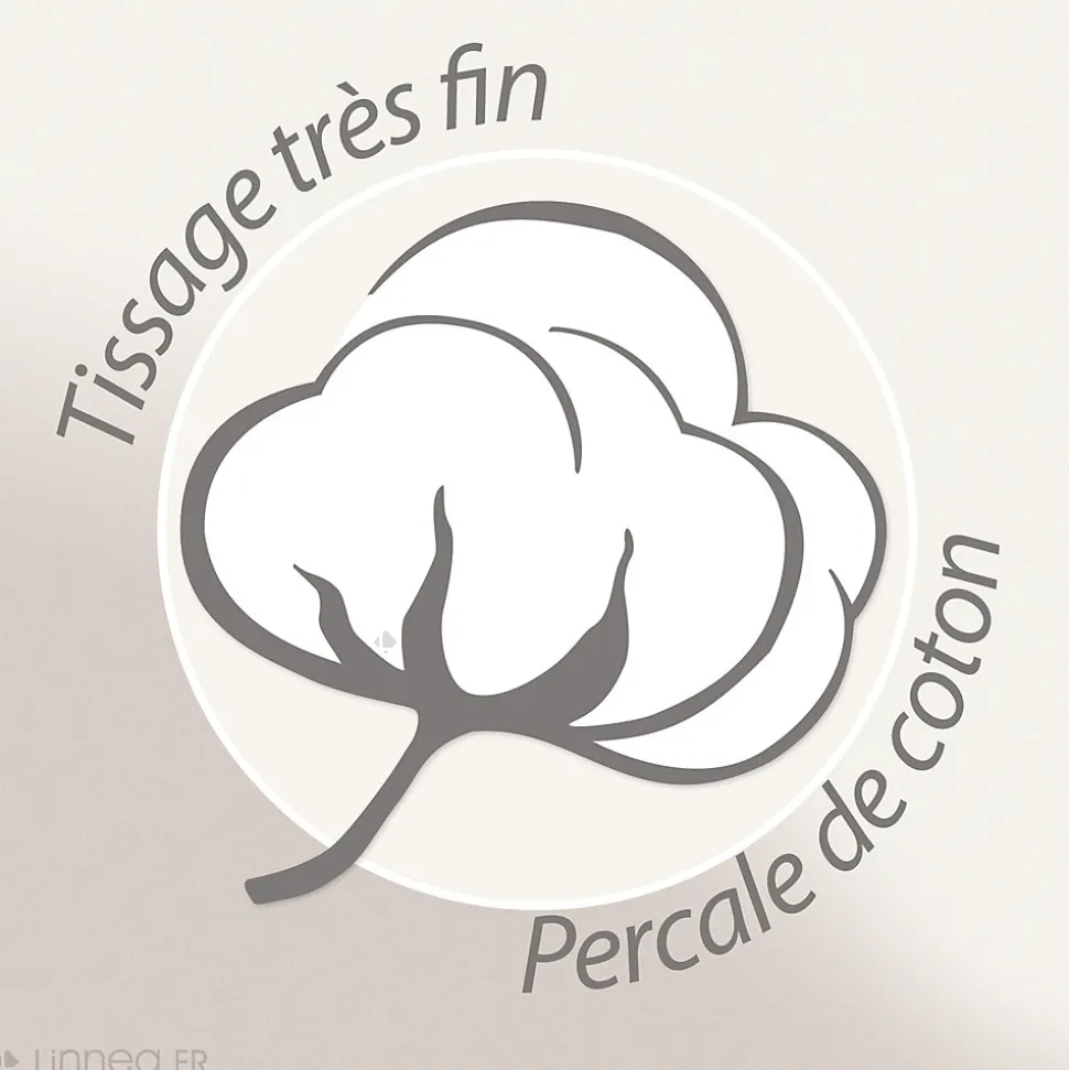 Taie d'oreiller 65x65 cm percale coton FÉÉRIE Blanc sauge