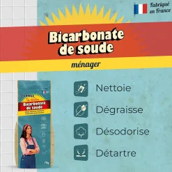 The Fabulous Bicarbonate de soude 1kg