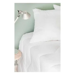 TOISON D'OR - Oreiller - Bamboo - Confort médium - 65x65cm - Blanc