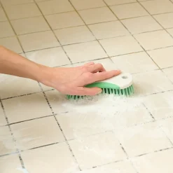 Tête de brosse à récurer poils rigide blanc l.7cm