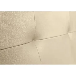 Tête de lit - ECCOX - Cala - Similicuir beige - 160 cm - Rembourrage en mousse HR